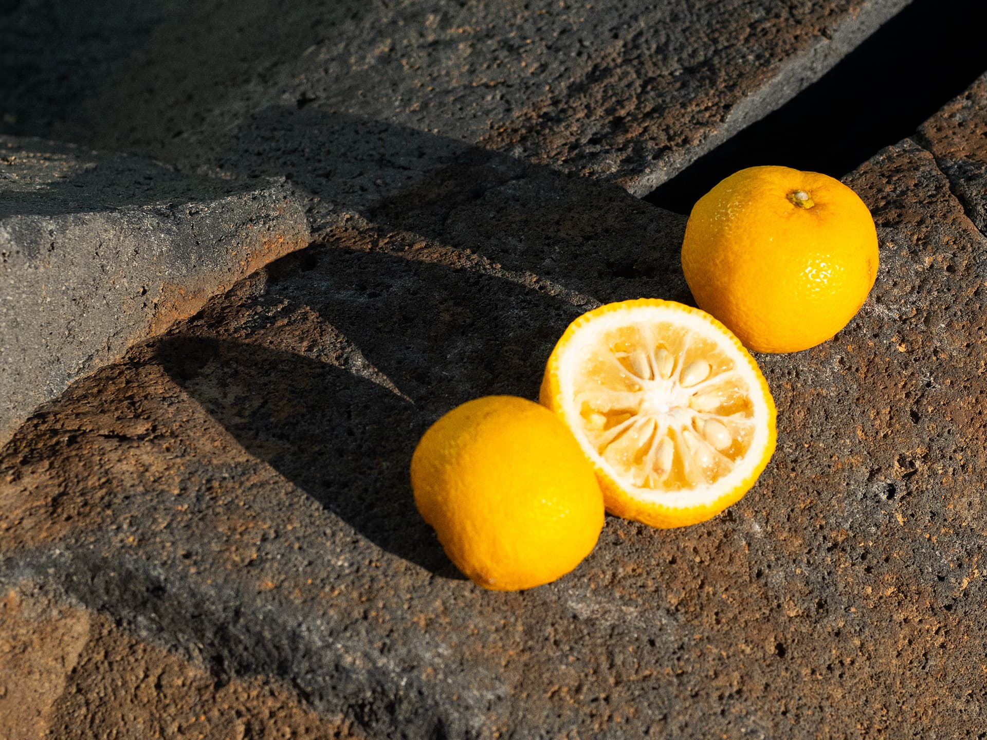 柚子 YUZU
