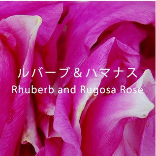 大黃 RHUBARB