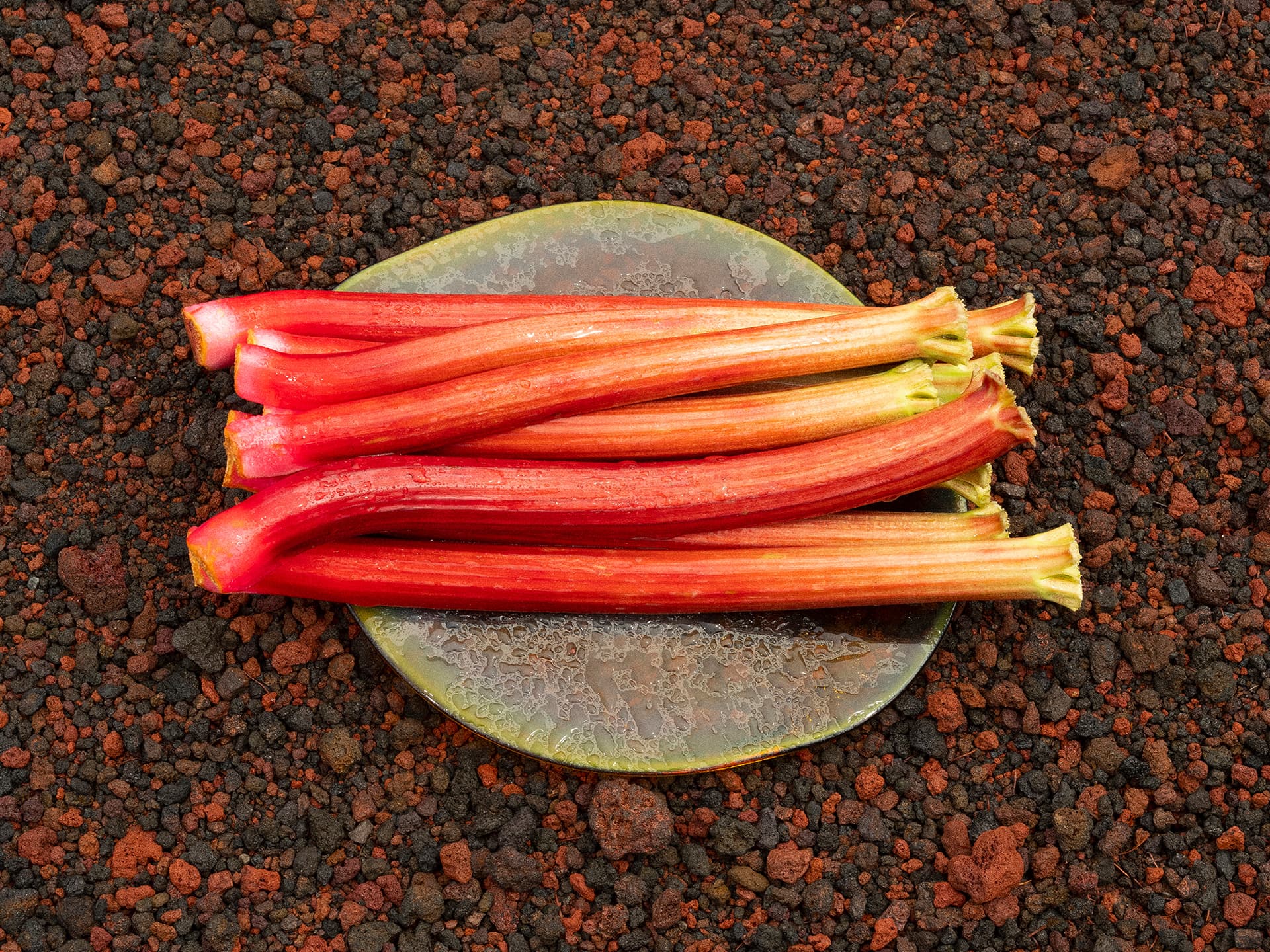 大黃 RHUBARB