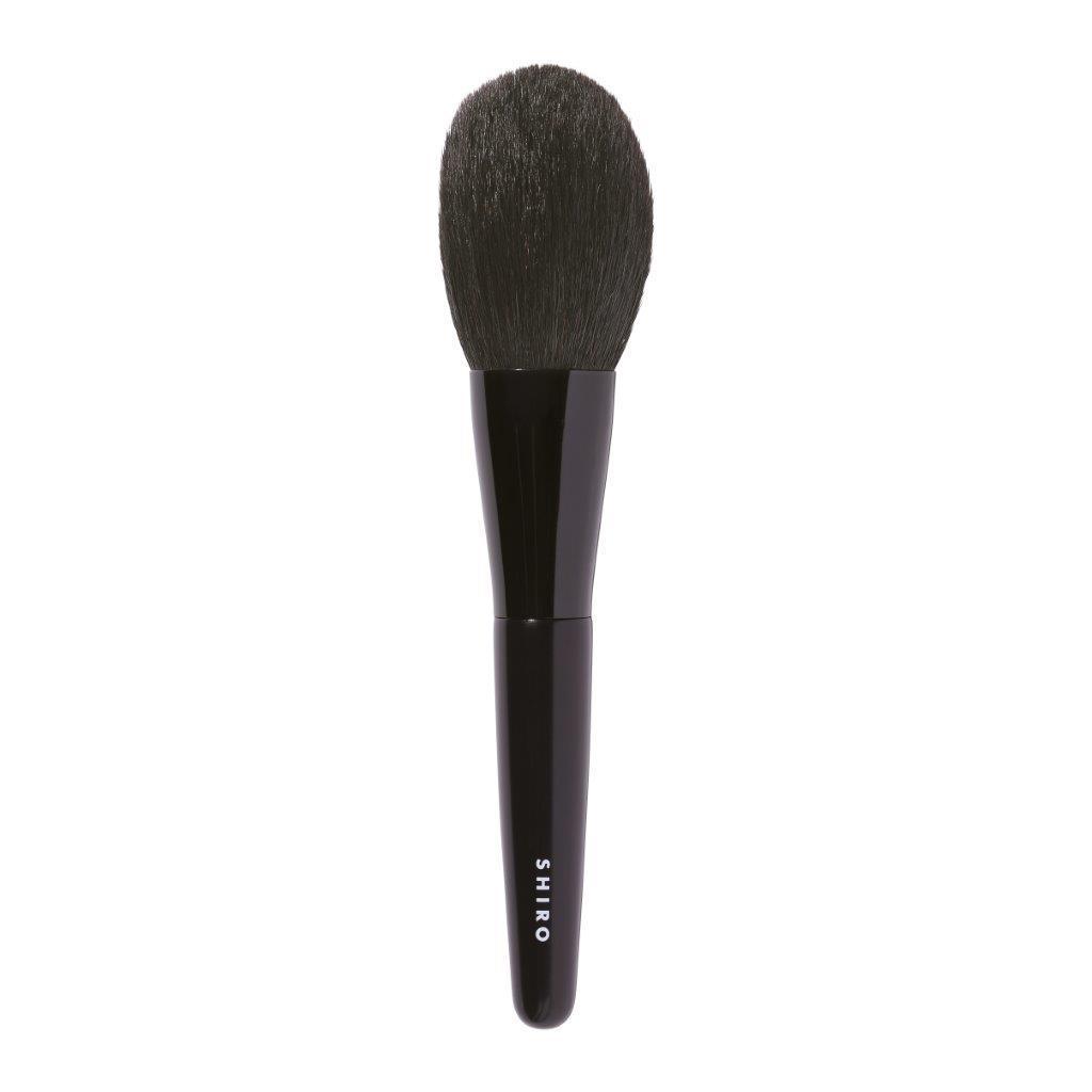 FACE BRUSH